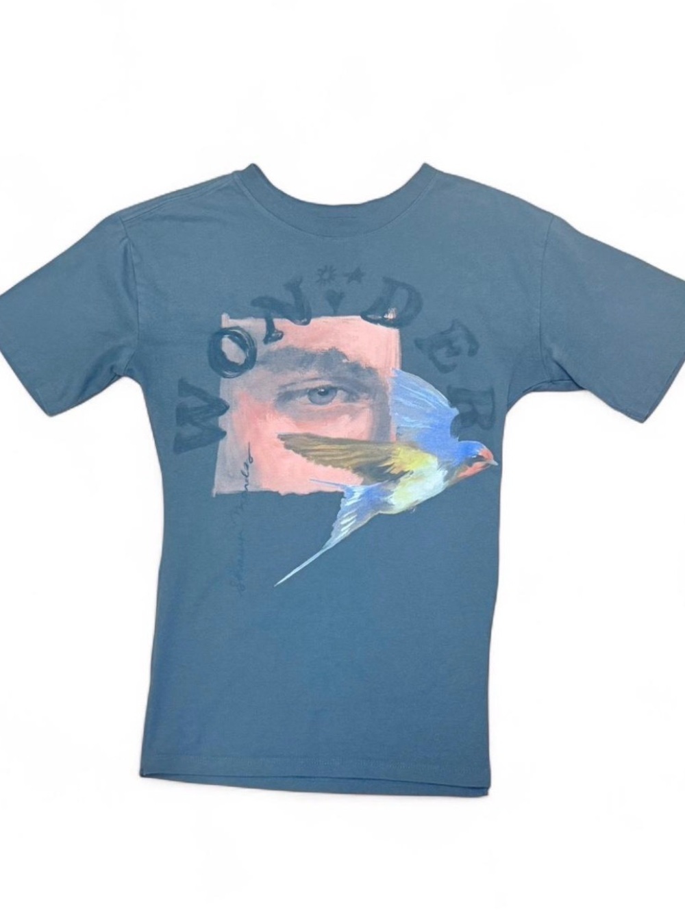 Graphic Eye & Bird Tee in gray Gap teen size 8 “oversized” short sleeve